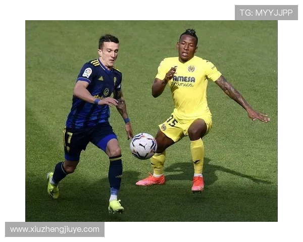 全面解析足球赛事平台评论体验，畅谈观赛互动与用户反馈